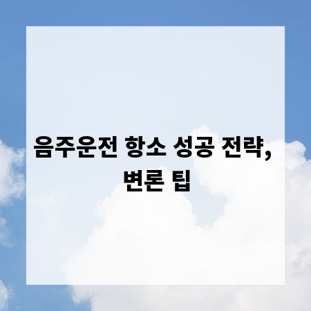 음주운전 항소 성공 전략, 변론 팁