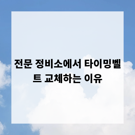 전문 정비소에서 타이밍벨트 교체하는 이유