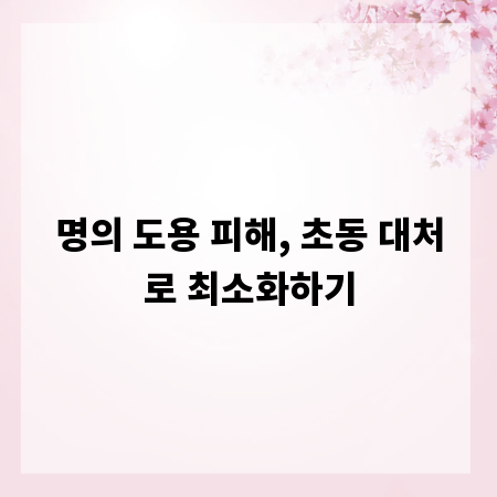 명의 도용 피해, 초동 대처로 최소화하기