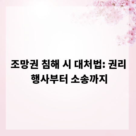 조망권 침해 시 대처법: 권리 행사부터 소송까지