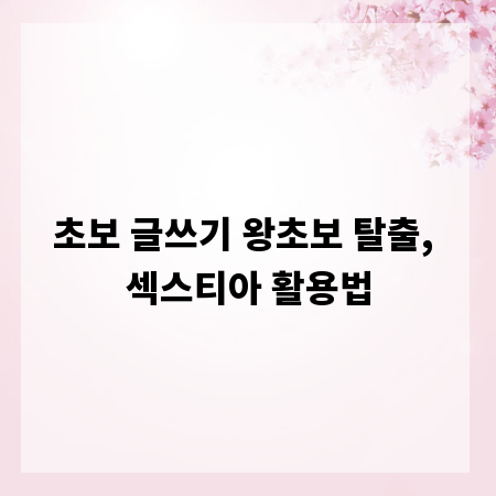 초보 글쓰기 왕초보 탈출, 섹스티아 활용법