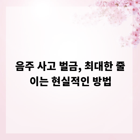 음주 사고 벌금, 최대한 줄이는 현실적인 방법