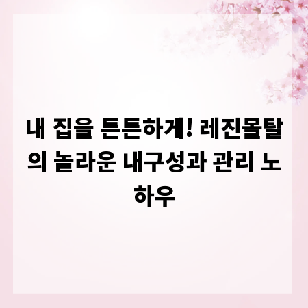 내 집을 튼튼하게! 레진몰탈의 놀라운 내구성과 관리 노하우