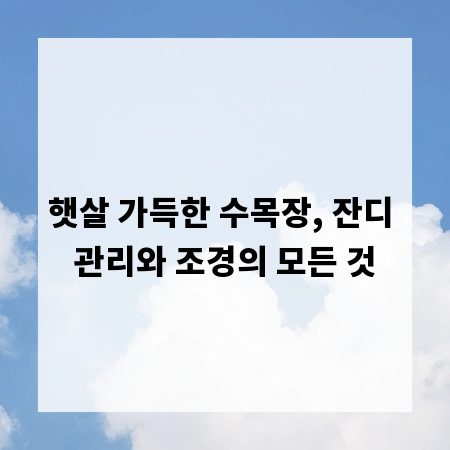 햇살 가득한 수목장, 잔디 관리와 조경의 모든 것