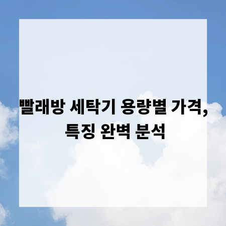 빨래방 세탁기 용량별 가격, 특징 완벽 분석