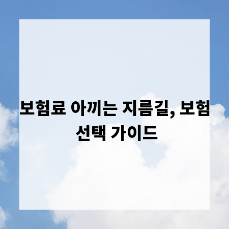 보험료 아끼는 지름길, 보험 선택 가이드