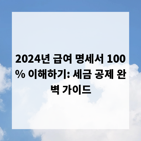 2024년 급여 명세서 100% 이해하기: 세금 공제 완벽 가이드