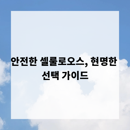 안전한 셀룰로오스, 현명한 선택 가이드