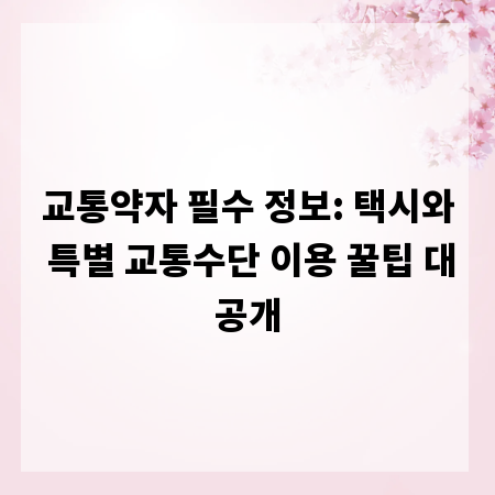 교통약자 필수 정보: 택시와 특별 교통수단 이용 꿀팁 대공개