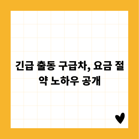 긴급 출동 구급차, 요금 절약 노하우 공개