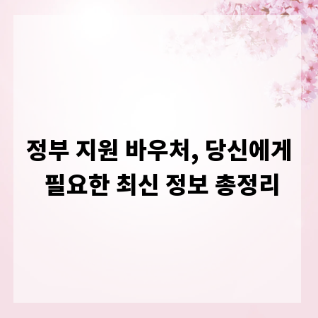 정부 지원 바우처, 당신에게 필요한 최신 정보 총정리