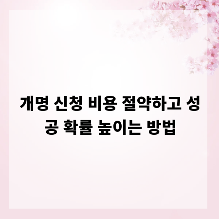 개명 신청 비용 절약하고 성공 확률 높이는 방법
