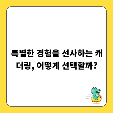 특별한 경험을 선사하는 캐더링, 어떻게 선택할까?