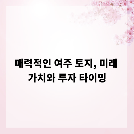 매력적인 여주 토지, 미래 가치와 투자 타이밍