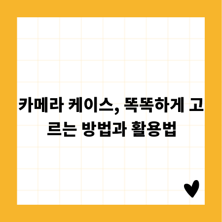 카메라 케이스, 똑똑하게 고르는 방법과 활용법