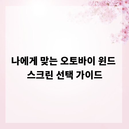 나에게 맞는 오토바이 윈드 스크린 선택 가이드