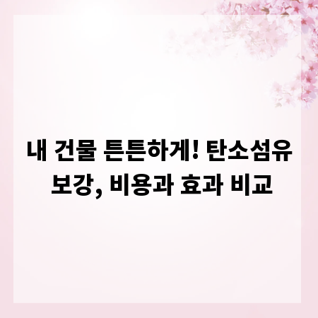 내 건물 튼튼하게! 탄소섬유 보강, 비용과 효과 비교