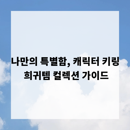 나만의 특별함, 캐릭터 키링 희귀템 컬렉션 가이드
