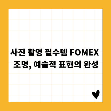사진 촬영 필수템 FOMEX 조명, 예술적 표현의 완성