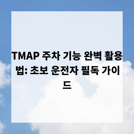 TMAP 주차 기능 완벽 활용법: 초보 운전자 필독 가이드