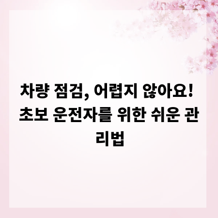 차량 점검, 어렵지 않아요! 초보 운전자를 위한 쉬운 관리법