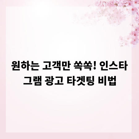 원하는 고객만 쏙쏙! 인스타그램 광고 타겟팅 비법