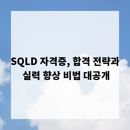 SQLD 자격증, 합격 전략과 실력 향상 비법 대공개