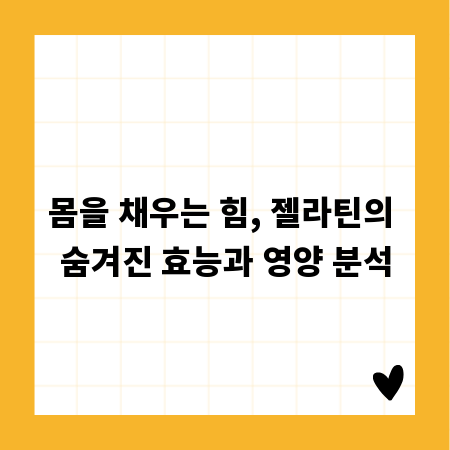 몸을 채우는 힘, 젤라틴의 숨겨진 효능과 영양 분석