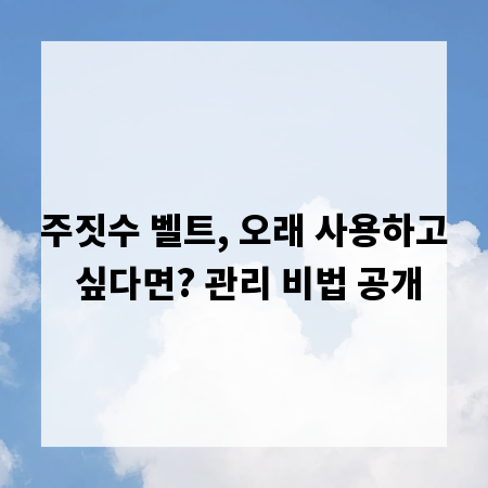 주짓수 벨트, 오래 사용하고 싶다면? 관리 비법 공개