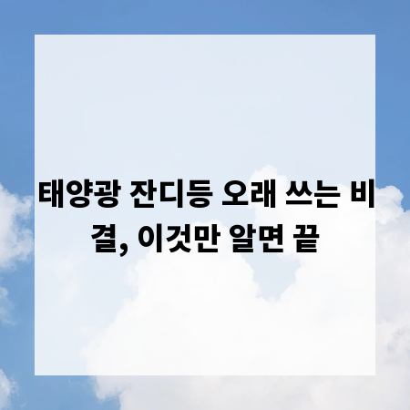 태양광 잔디등 오래 쓰는 비결, 이것만 알면 끝