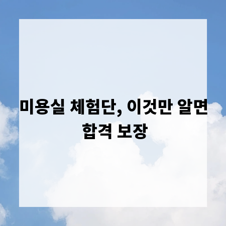 미용실 체험단, 이것만 알면 합격 보장