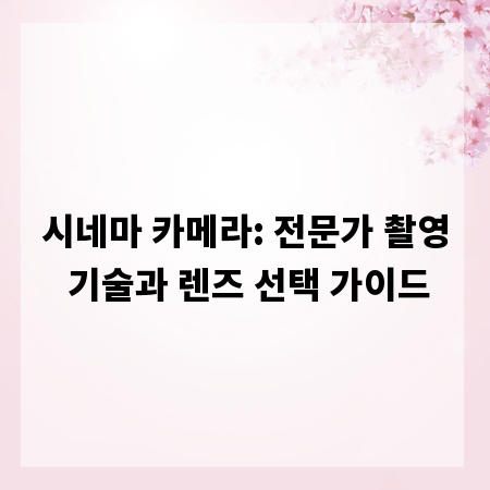 시네마 카메라: 전문가 촬영 기술과 렌즈 선택 가이드
