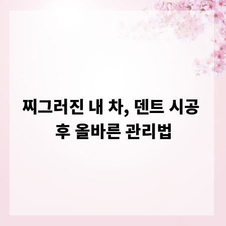 찌그러진 내 차, 덴트 시공 후 올바른 관리법
