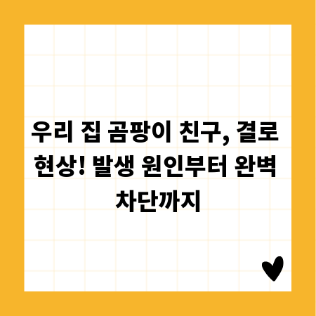 우리 집 곰팡이 친구, 결로 현상! 발생 원인부터 완벽 차단까지