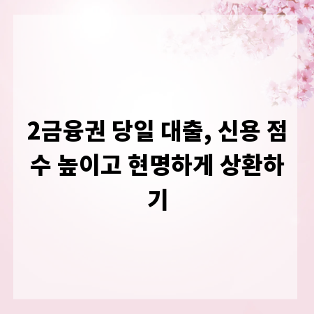 2금융권 당일 대출, 신용 점수 높이고 현명하게 상환하기