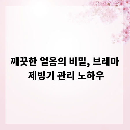 깨끗한 얼음의 비밀, 브레마 제빙기 관리 노하우