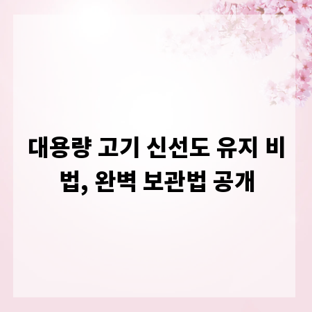 대용량 고기 신선도 유지 비법, 완벽 보관법 공개