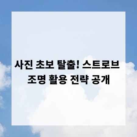 사진 초보 탈출! 스트로브 조명 활용 전략 공개