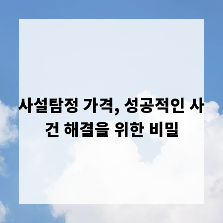 사설탐정 가격, 성공적인 사건 해결을 위한 비밀