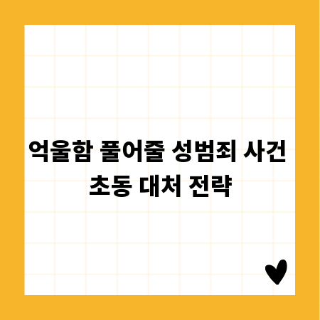 억울함 풀어줄 성범죄 사건 초동 대처 전략