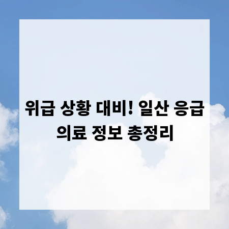 위급 상황 대비! 일산 응급의료 정보 총정리