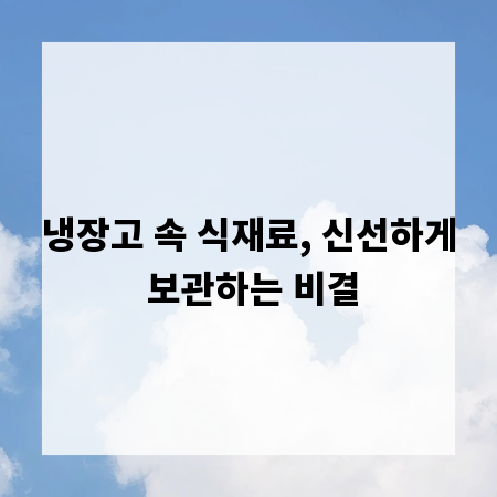 냉장고 속 식재료, 신선하게 보관하는 비결