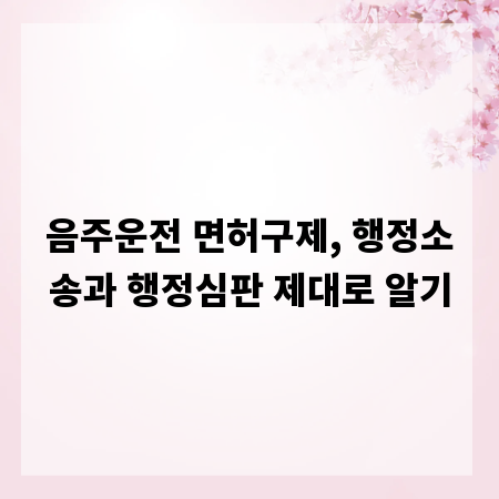 음주운전 면허구제, 행정소송과 행정심판 제대로 알기