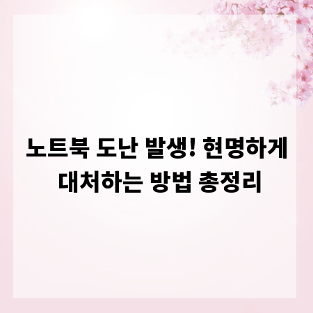 노트북 도난 발생! 현명하게 대처하는 방법 총정리