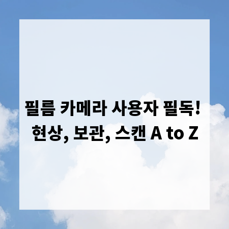 필름 카메라 사용자 필독! 현상, 보관, 스캔 A to Z