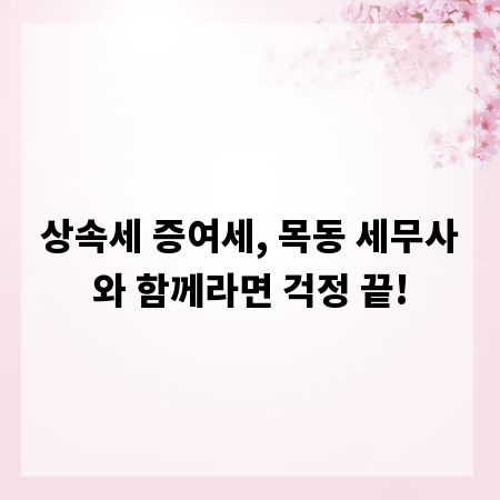 상속세 증여세, 목동 세무사와 함께라면 걱정 끝!