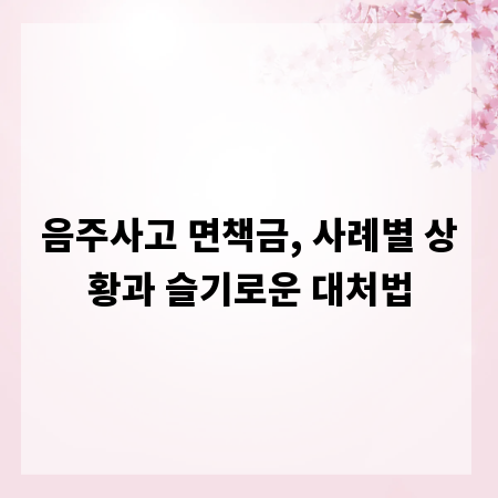 음주사고 면책금, 사례별 상황과 슬기로운 대처법