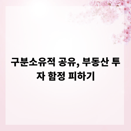 구분소유적 공유, 부동산 투자 함정 피하기