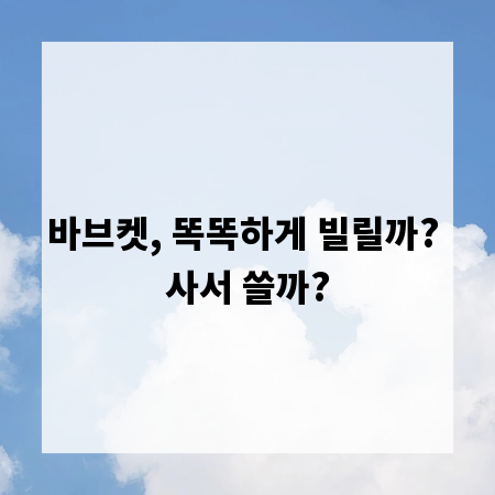바브켓, 똑똑하게 빌릴까? 사서 쓸까?