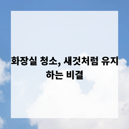 화장실 청소, 새것처럼 유지하는 비결